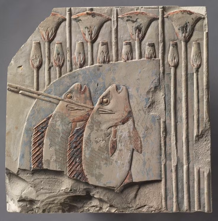  3. Cá. Sông Nile cung cấp nguồn cá phong phú như cá rô, cá chép và cá trê, là thực phẩm phổ biến của người Ai Cập. Cá thường được nướng, hun khói hoặc phơi khô để bảo quản. Một số hình ảnh chạm khắc cho thấy người Ai Cập có cả kỹ thuật muối cá để bảo quản lâu dài. Ảnh: Pinterest.