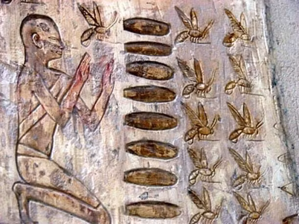  7. Mật ong và mật chà là. Người Ai Cập cổ đại không có đường, nên họ sử dụng mật ong và mật chà là để tạo vị ngọt cho các món ăn. Mật ong là nguyên liệu quý giá và thường được dùng trong các món ăn đặc biệt, bánh ngọt, hoặc các món lễ vật dâng thần linh. Ảnh: Pinterest.