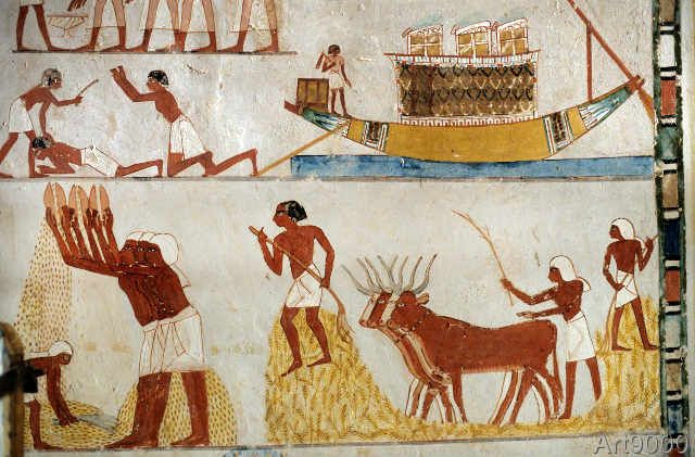  8. Các loại hạt. Các loại hạt như hạt vừng, hạt lanh và hạt cây thầu dầu là một phần trong chế độ ăn uống của người Ai Cập. Chúng được dùng để làm dầu hoặc trộn vào bánh mì và món ăn để tăng thêm hương vị. Ảnh: Pinterest.