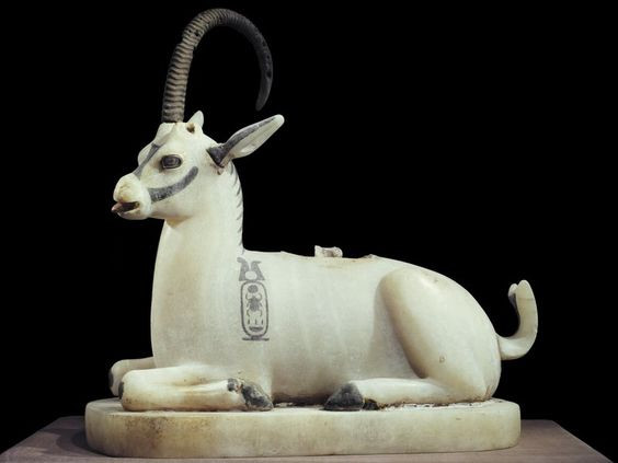  4. Thịt bò, cừu và dê. Thịt không phải là thực phẩm hàng ngày mà thường chỉ được ăn trong các dịp lễ. Người Ai Cập nuôi bò, cừu, dê, và chúng là nguồn thịt chính. Ngoài ra, họ còn săn bắt các loài hoang dã. Thịt thường được nướng, phơi khô, hoặc chế biến thành các món hầm. Ảnh: Pinterest.