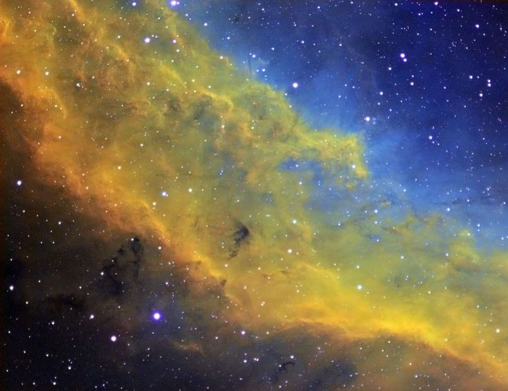  7. Kính thiên văn vũ trụ James Webb đang theo dõi GN-z11. Kính viễn vọng không gian James Webb được thiết kế để quan sát các thiên hà cực kỳ cổ xưa như GN-z11 nhằm giải mã vũ trụ sơ khai. Ảnh: Pinterest.