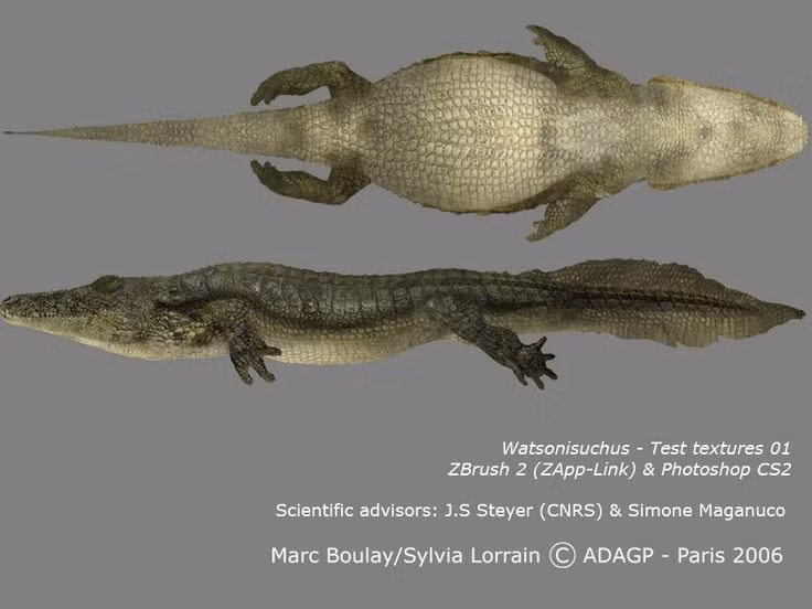  7. Prionosuchus thuộc nhóm temnospondyli – tổ tiên của nhiều lưỡng cư ngày nay. Đây là một nhóm lưỡng cư đa dạng và phổ biến trong kỷ Permi và Trias, được cho là có liên hệ tiến hóa với kỳ nhông. Ảnh: Pinterest.