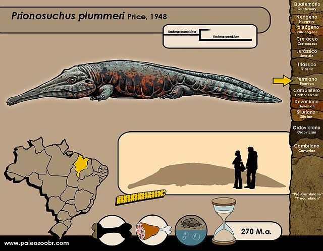  2. Nó sống vào thời kỳ Permi, khoảng 270 triệu năm trước. Prionosuchus tồn tại trước cả thời đại khủng long, trong các đầm lầy ấm áp của Nam Mỹ ngày nay. Ảnh: Pinterest.
