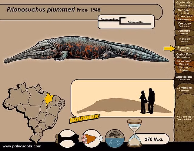  2. Nó sống vào thời kỳ Permi, khoảng 270 triệu năm trước. Prionosuchus tồn tại trước cả thời đại khủng long, trong các đầm lầy ấm áp của Nam Mỹ ngày nay. Ảnh: Pinterest.