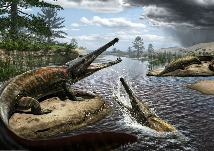  8. Một số nhà khoa học từng nhầm lẫn Prionosuchus với loài khác. Có thời điểm, nó bị xếp nhầm vào chi Platyoposaurus ở Nga, nhưng nghiên cứu kỹ hơn đã chứng minh Prionosuchus là một loài riêng biệt. Ảnh: Pinterest.