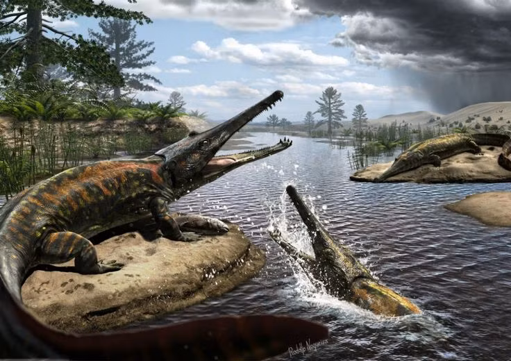  8. Một số nhà khoa học từng nhầm lẫn Prionosuchus với loài khác. Có thời điểm, nó bị xếp nhầm vào chi Platyoposaurus ở Nga, nhưng nghiên cứu kỹ hơn đã chứng minh Prionosuchus là một loài riêng biệt. Ảnh: Pinterest.