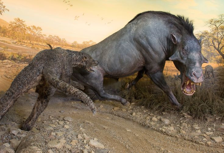  8. Tuyệt chủng cùng với sự thay đổi khí hậu và môi trường. Khi khí hậu trở nên ẩm ướt hơn và thảm thực vật thay đổi, Daeodon không còn thích nghi được và dần biến mất khỏi hành tinh. Ảnh: Pinterest. k