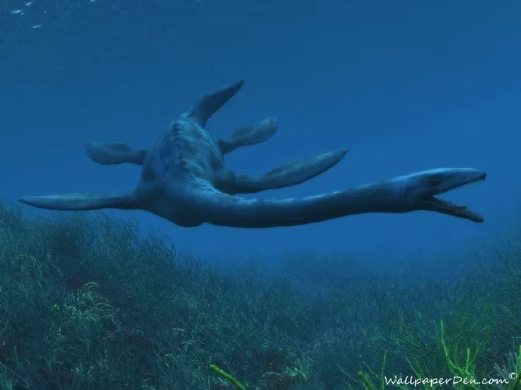  4. Cổ dài nhưng không linh hoạt như tưởng tượng. Dù rất dài, cổ của Elasmosaurus không thể uốn cong quá mức như rắn hay thiên nga – cấu trúc đốt sống khiến chúng chỉ có thể thực hiện chuyển động nhẹ và chậm. Ảnh: Pinterest.