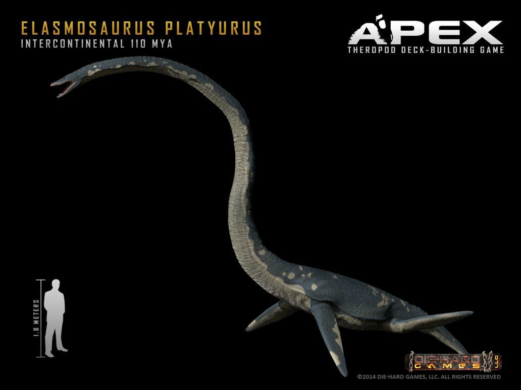  2. Không phải là khủng long mà là bò sát biển. Mặc dù thường được gọi nhầm là “khủng long cổ dài dưới nước”, Elasmosaurus thực chất thuộc nhóm bò sát biển Plesiosaur, không phải là khủng long chính thống. Ảnh: Pinterest.