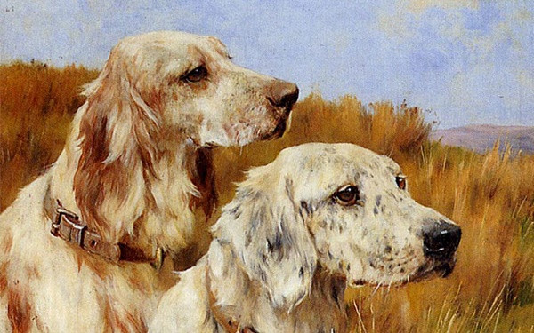 Giai doan tai loc bung no, van khi thinh vuong cua tuoi Tuat, Suu, Dau-Hinh-2