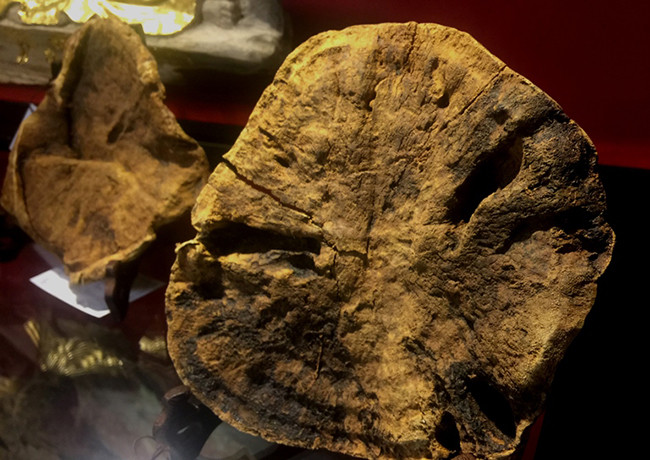 Khối trầm có tên gọi "Trầm đế" trong bộ sưu tập.