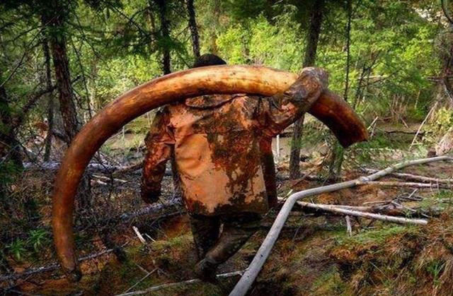 Nghe la: Chi lam 65 ngay/nam... thu nhap gan 1 ty dong-Hinh-4