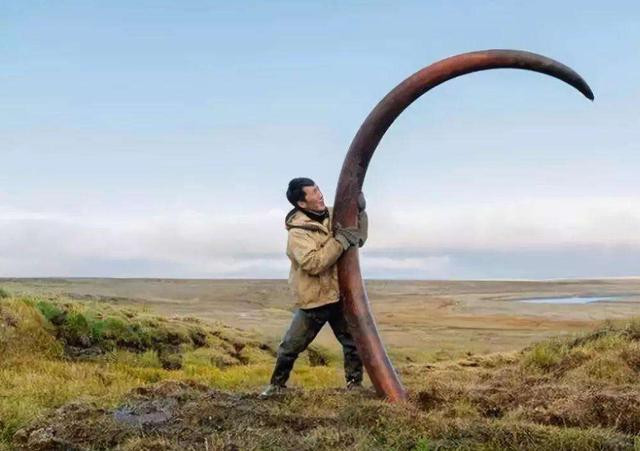 Nghe la: Chi lam 65 ngay/nam... thu nhap gan 1 ty dong-Hinh-3