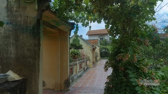 Lối cửa phụ vào nhà từ đường được chủ nhân trồng giàn hoa tigôn, lấy bóng râm che nắng vào những ngày hè oi ả.