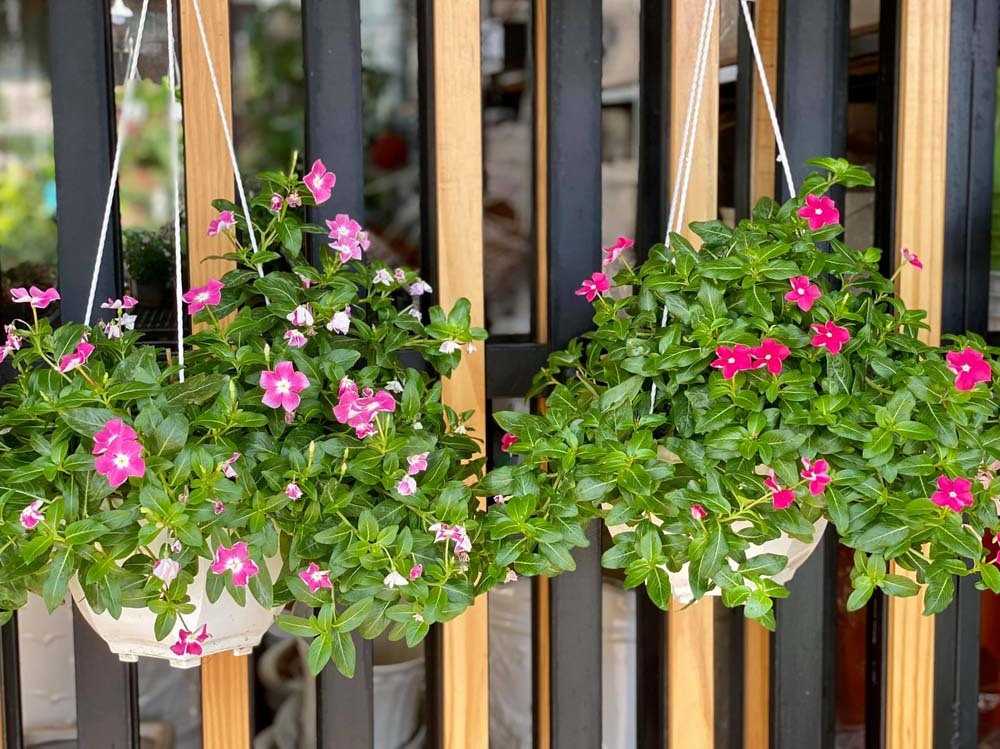 Tờ kết quả ADN làm lộ bí mật của người vợ xinh đẹp ảnh 1