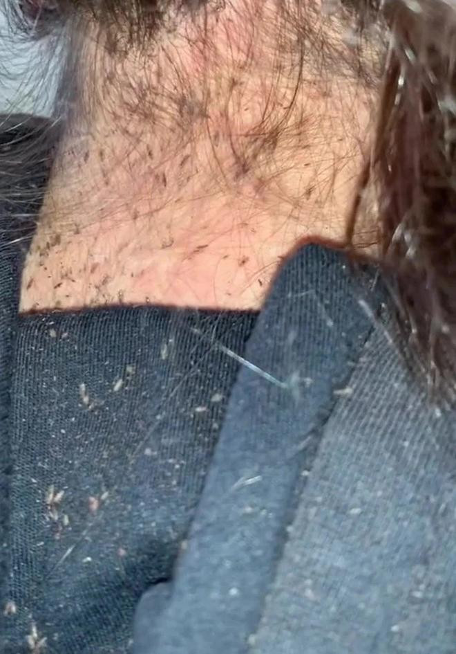 Rung minh clip bat chay nghin con 46 trieu luot xem, nhin ma soc-Hinh-2