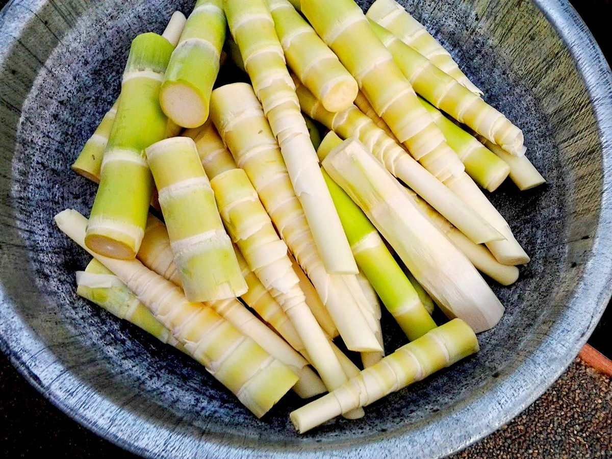  Măng đắng: là món ăn dân dã mà hấp dẫn của đồng bào dân tộc ở các tỉnh miền núi phía Bắc. Nguyên liệu này có thể luộc chấm mắm tôm, nướng, xào lá lốt, làm món măng ớt ngâm (thường gọi tắt là món măng ớt), làm nem măng... Ảnh: Mia.