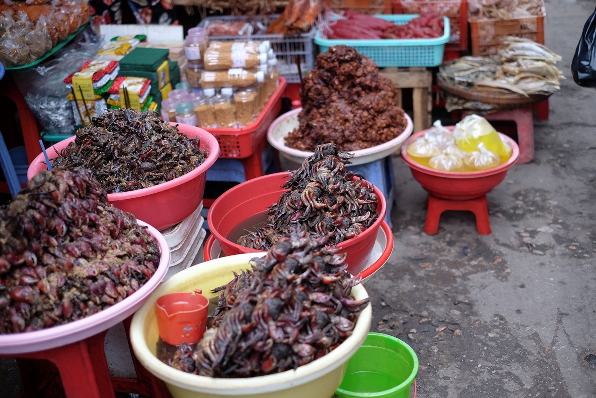 Mắm ba khía là đặc sản trứ danh của miền Tây Nam Bộ. Nguyên liệu để làm mắm là con ba khía, trông khá giống cua đồng, trên mai có 3 khía (3 gạch). Mắm ba khía có hương vị đậm đà, thơm nồng. Tùy vào kích thước lớn, nhỏ của ba khía mà sản phẩm mắm có giá bán khác nhau. Ảnh: Minh Hằng.