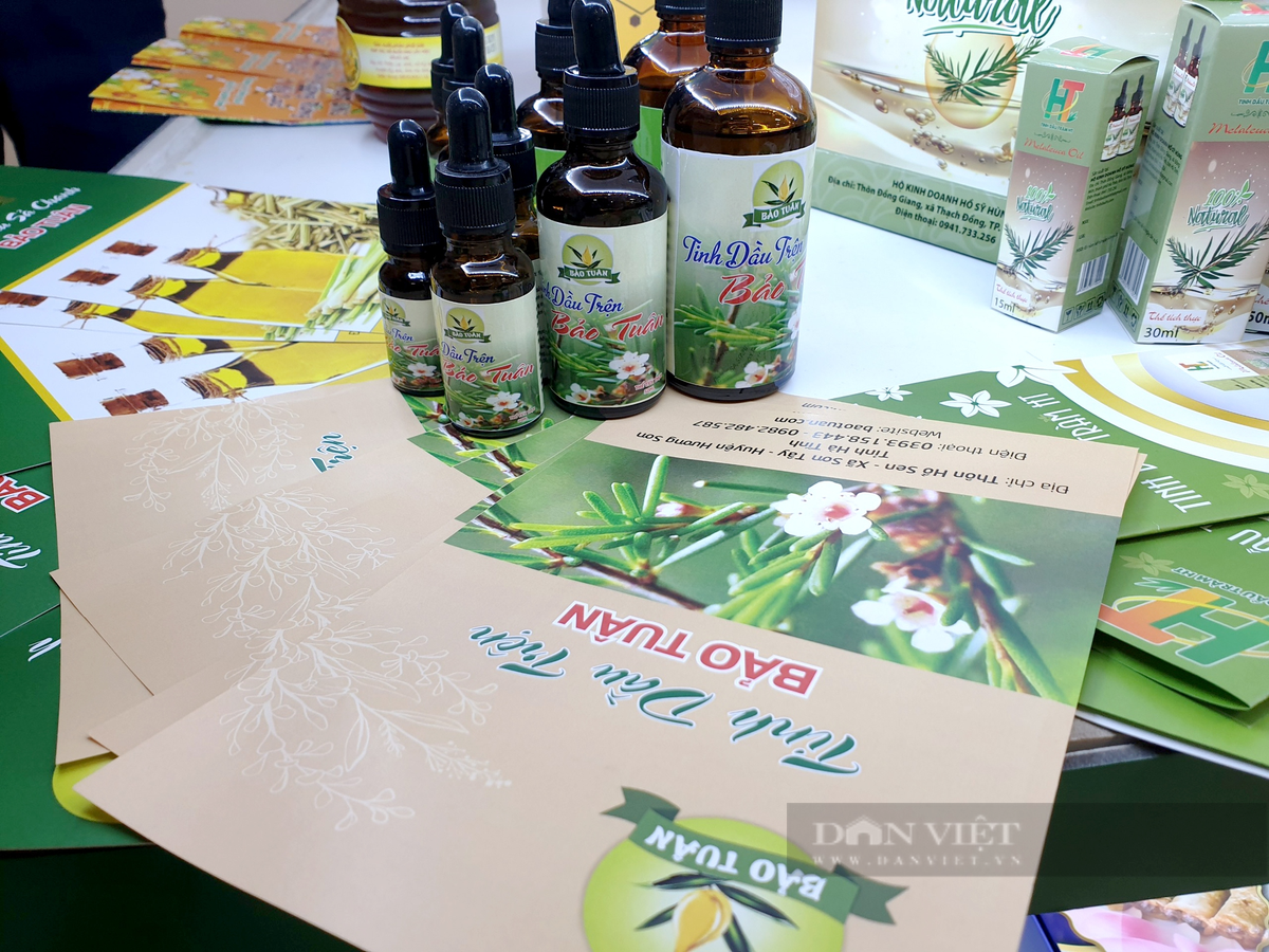 Nông dân Hương Sơn trồng loài cây mọc hoang trên núi kiếm bộn tiền - Hình 9 Nong dan Huong Son trong loai cay moc hoang tren nui kiem bon tien-Hinh-9