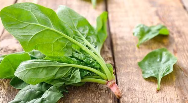 Rau chan vit cuc bo duong, nhung an sai cach lai rat hai