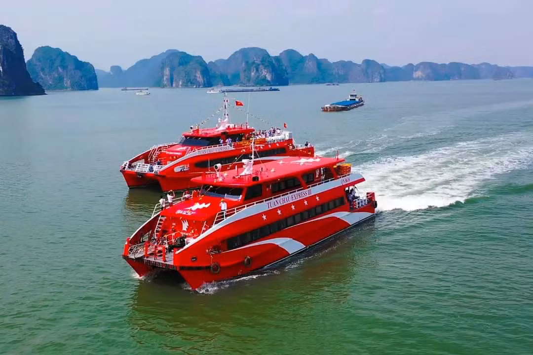 Loat du thuyen dang cap chuan bi xuat hien tren vinh Bai Tu Long-Hinh-2