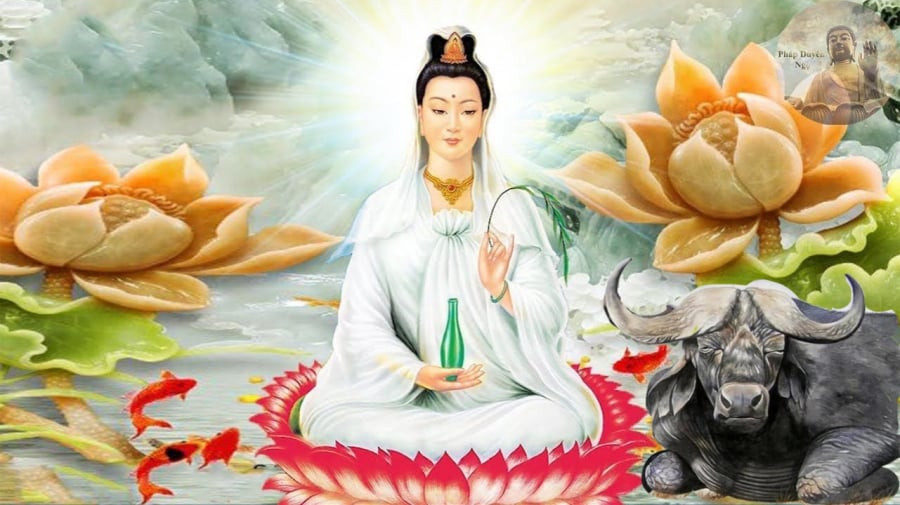 Đây là lúc để người tuổi Sửu sẽ thu được thành quả từ sự cố gắng không ngừng của bản thân trong thời gian trước đó và kiếm tiền gấp đôi. Tử vi trong 2 năm tới nếu người tuổi Sửu biết nắm bắt cơ hội may mắn của mình thì đường tài lộc sẽ vô cùng rạng rỡ. 