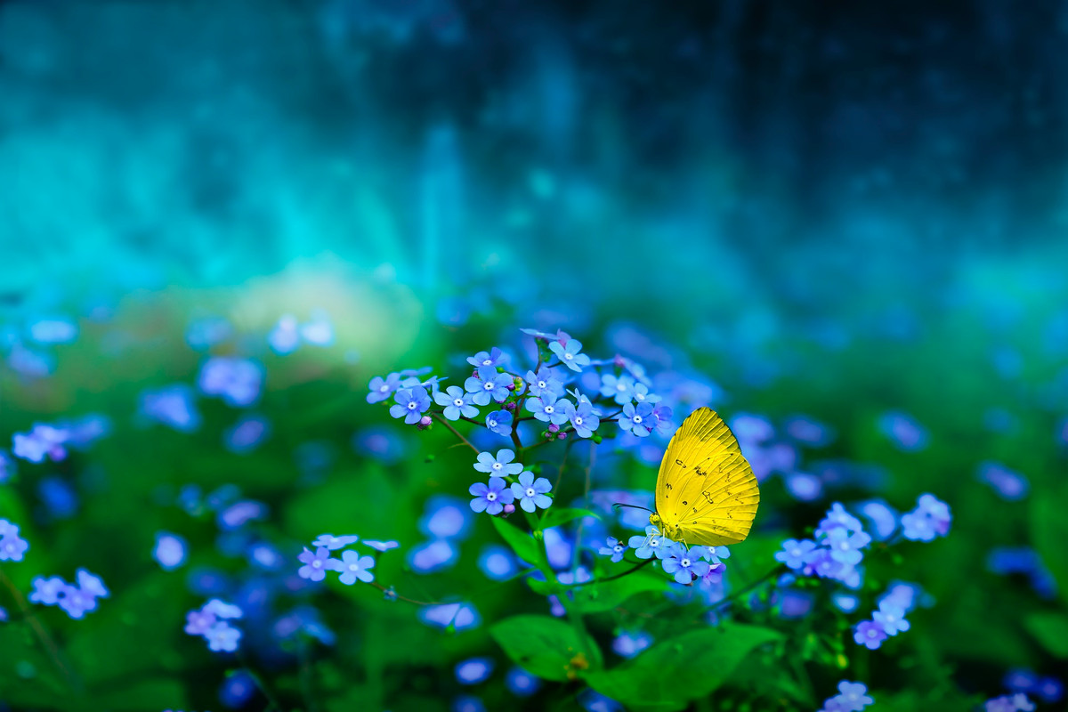 Thang 4, Than Tai goi ten, 4 con giap tai loc sung tuc-Hinh-3