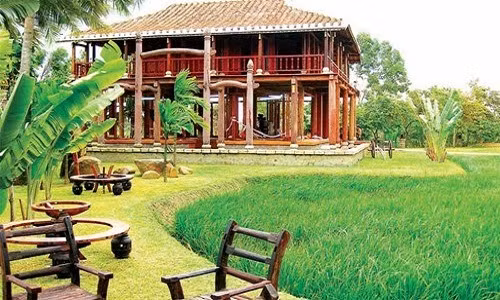 Nhà thiết kế áo dài Sĩ Hoàng cũng dành không ít tâm huyết cho khu nhà vườn Long Thuận. Ngôi nhà đậm chất nông thôn Việt hòa mình vào ruộng lúa, gợi lại hình ảnh quen thuộc của quê hương.