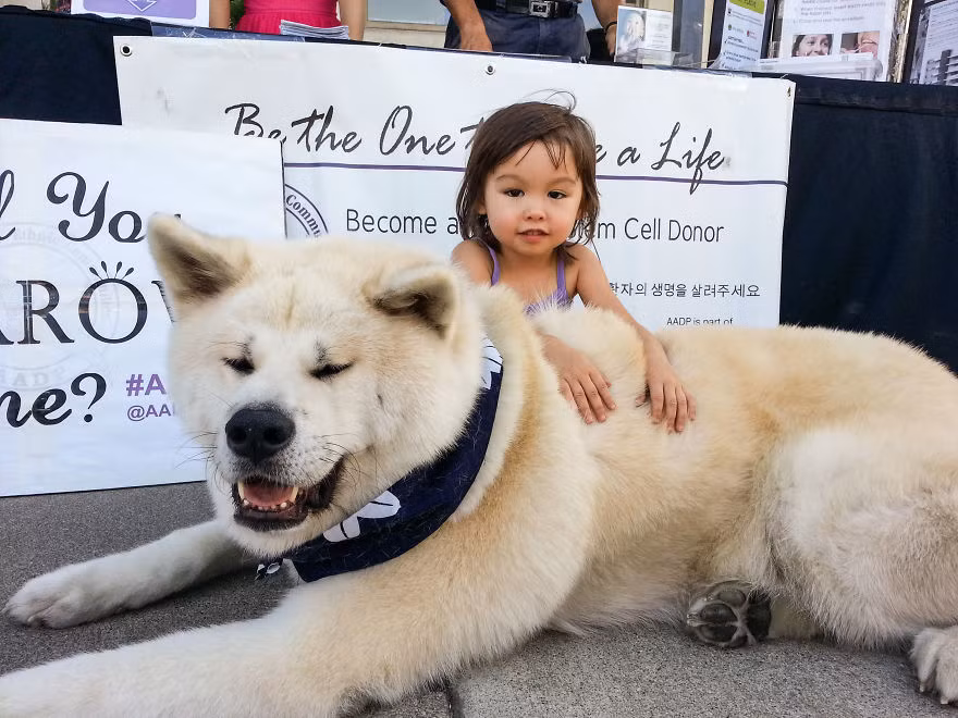 Tình yêu thương động vật, lòng trắc ẩn... được bồi đắp nhờ tình bạn trong sáng, thân thiết của cún cưng và trẻ nhỏ.