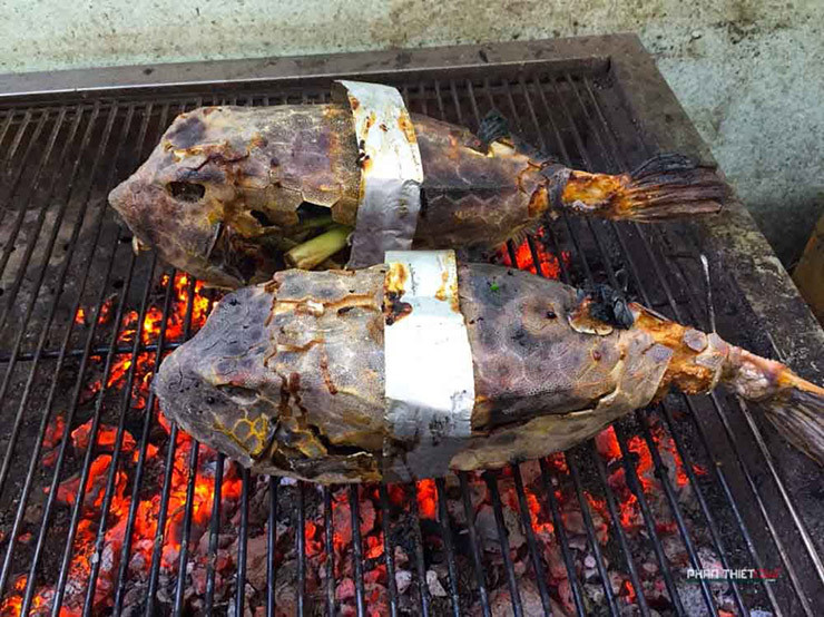 Loai ca hiem o Viet Nam, trong du dan nhung an rat ngon, gia sieu dat do-Hinh-4