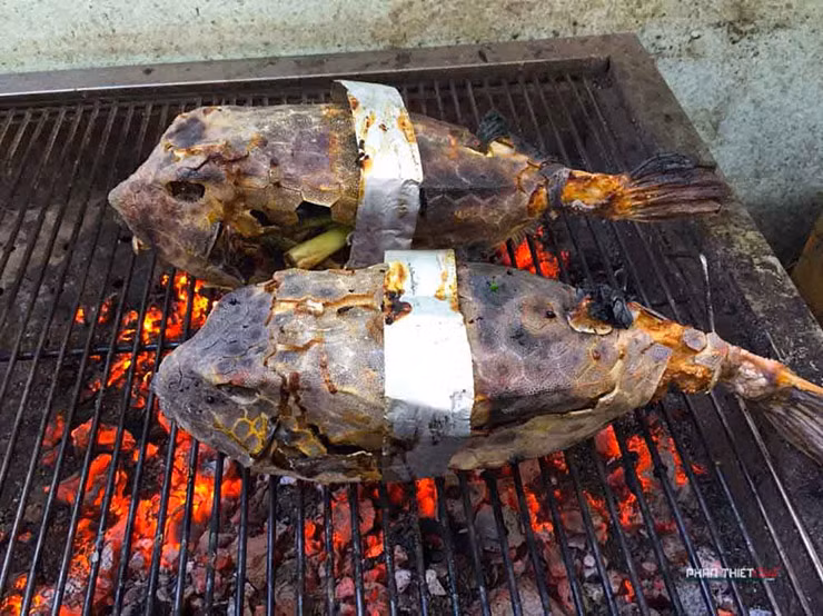 Loai ca hiem o Viet Nam, trong du dan nhung an rat ngon, gia sieu dat do-Hinh-4