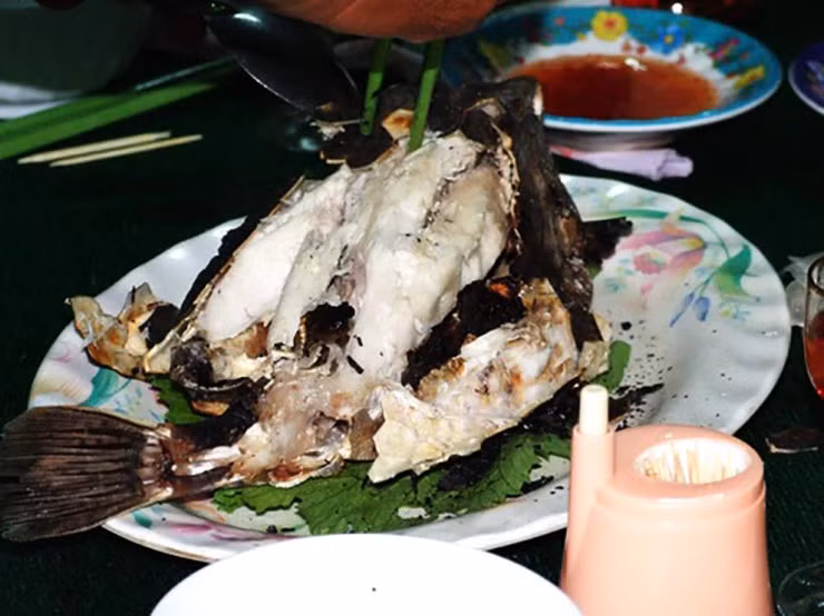 Loai ca hiem o Viet Nam, trong du dan nhung an rat ngon, gia sieu dat do-Hinh-10