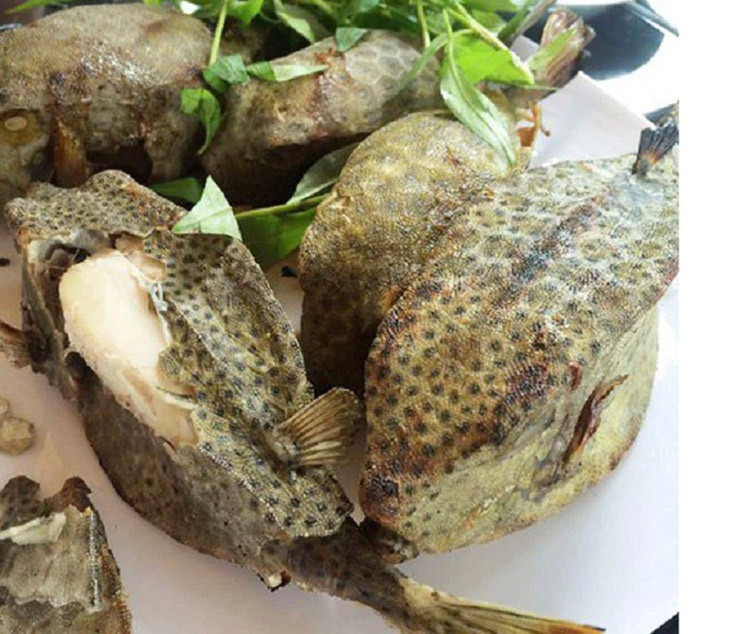 Loai ca hiem o Viet Nam, trong du dan nhung an rat ngon, gia sieu dat do-Hinh-9