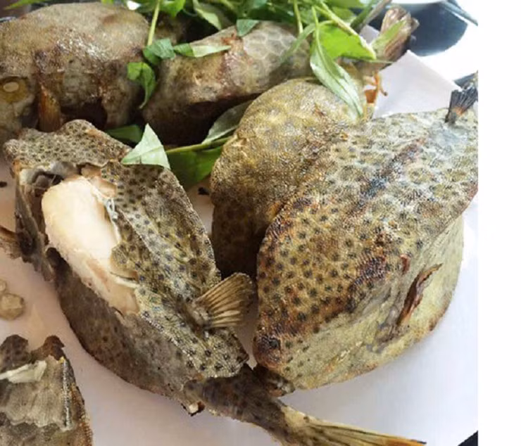 Loai ca hiem o Viet Nam, trong du dan nhung an rat ngon, gia sieu dat do-Hinh-9