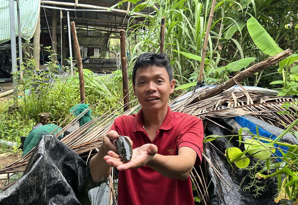 Anh nong dan mien Tay lam lieu nuoi ca day, khong ngo thu bon tien-Hinh-2