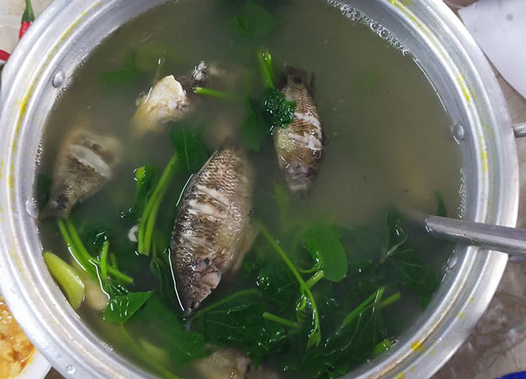 Loai ca re tien xua co day ngoai dong, gio cuc hiem-Hinh-11