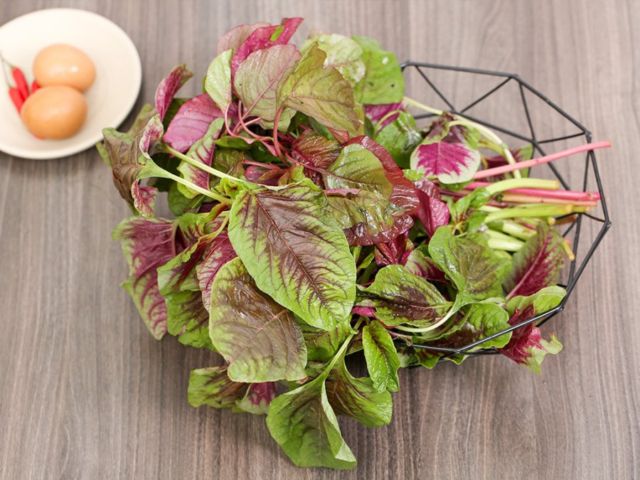 3 loại rau trường thọ bổ hơn thịt, rẻ hơn thuốc, trồng đầy ở Việt Nam - Hình 3 3 loai rau truong tho bo hon thit, re hon thuoc, trong day o Viet Nam-Hinh-3