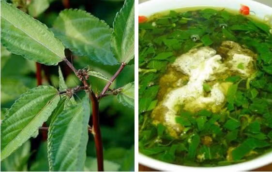 Loai rau gia re beo giup phu nu giam can, ngan ngua lao hoa