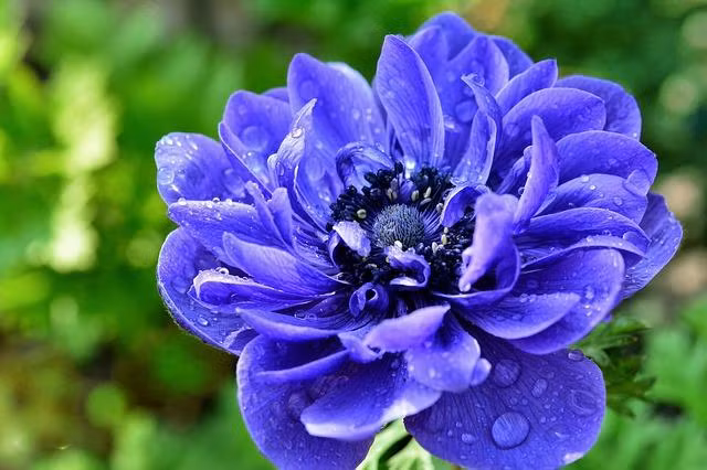 Ai sinh ngay Am lich nay tai van hanh thong, nam 2022 thang quan