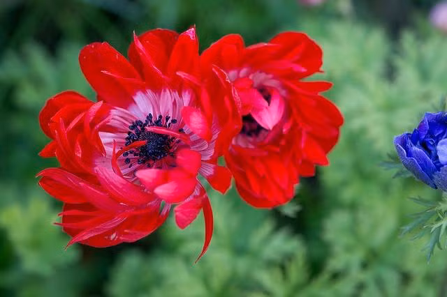 Ai sinh ngay Am lich nay tai van hanh thong, nam 2022 thang quan-Hinh-3