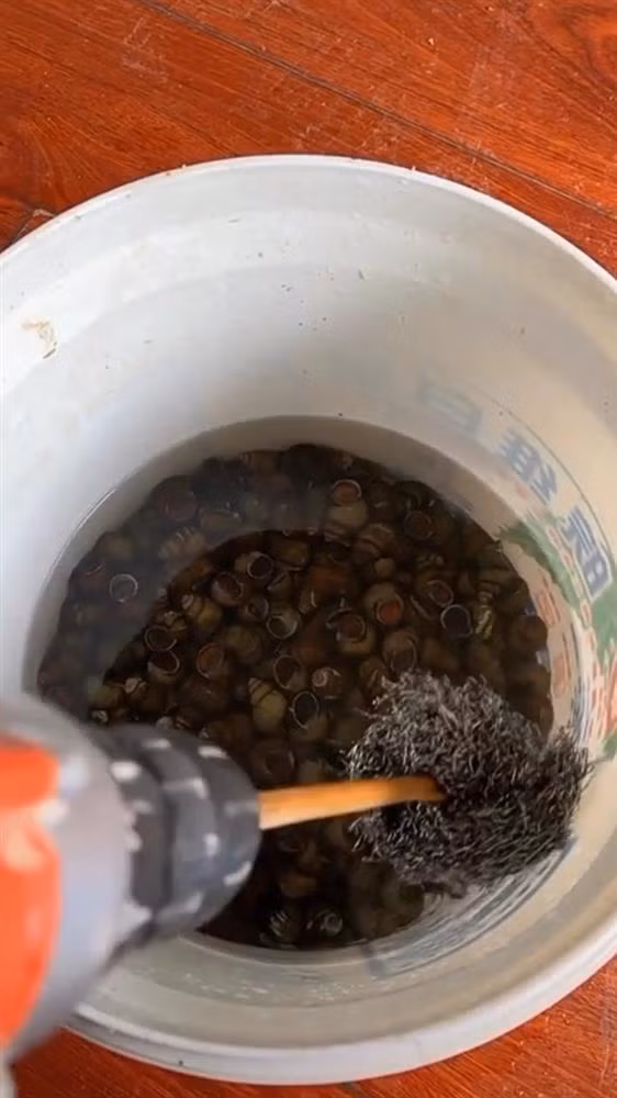 Thanh nien rua oc kieu moi, dan mang cuoi xiu thay oc 'say nhu dien'