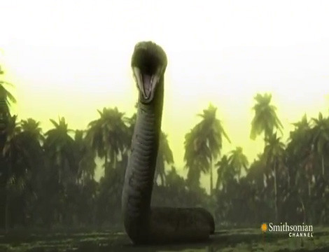 Căng thẳng “đại chiến” rắn khổng lồ chống khủng long bạo chúa - Hình 2 Cang thang “dai chien” ran khong lo chong khung long bao chua-Hinh-2