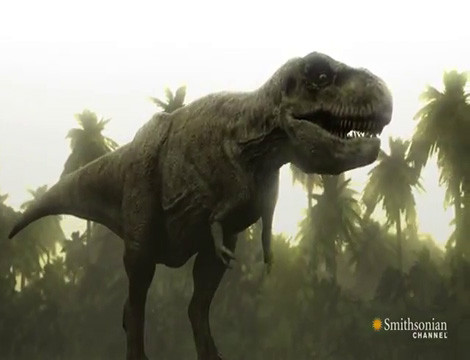 Căng thẳng “đại chiến” rắn khổng lồ chống khủng long bạo chúa Cang thang “dai chien” ran khong lo chong khung long bao chua