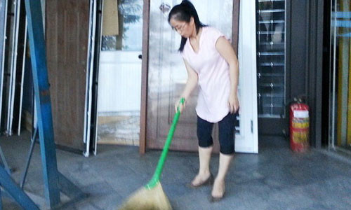 Côn trùng lạ đã ảnh hưởng nhiều đến cơ sở sản xuất của bà Phương Ỷ Linh. (Ảnh: Đại Việt )