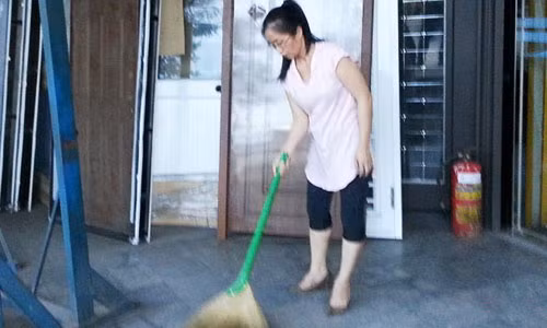 Côn trùng lạ đã ảnh hưởng nhiều đến cơ sở sản xuất của bà Phương Ỷ Linh. (Ảnh: Đại Việt )