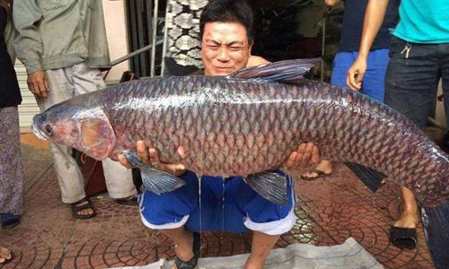 Anh Tuấn cùng con cá trắm đen “khủng” câu được.