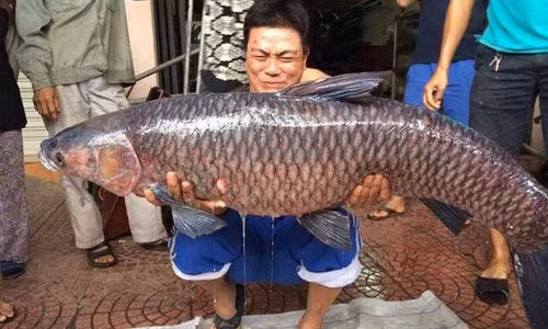 Anh Tuấn cùng con cá trắm đen “khủng” câu được.