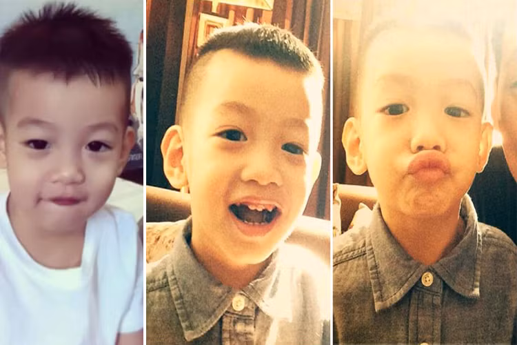 Với Hồ Ngọc Hà và Cường đô la, Subeo là món quà vô giá mà cuộc sống mang đến cho họ. Chính cậu bé cũng là sợi dây ngắn kết khi mối quan hệ của cặp đôi gặp sóng gió.