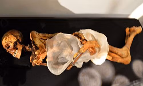 Xác ướp "công chúa" vùng Siberia.