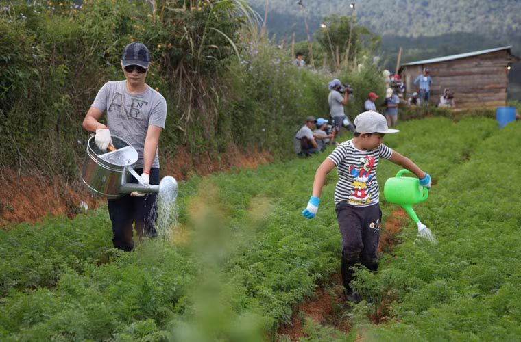 Thử thách của các cặp bố con tại đây là trải nghiệm cuộc sống của người nông dân với công việc tưới rau. Hoàng Bách và bé Tê Giác tỏ ra khá nhanh nhẹn.